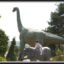 계룡산자연사박물관 이미지