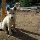 경희농원 이미지