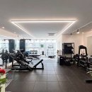 데이빗짐 이미지