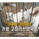 고성리산양목장 이미지