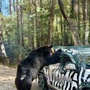 엑스랜드 | 로봇 바리스타 라운지엑스 에버랜드 카페 추천