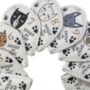 패밀리캣 이미지