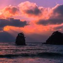 바다 어울림 이미지