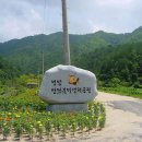 수영낚시