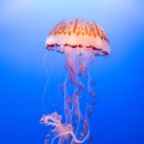 서울장내과의원 이미지