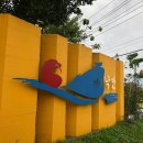 비비정 상생 도시숲 이미지