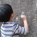 대성암 앞 이미지