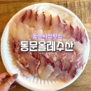 올레회포장 | 동문시장 횟집 단체 모임하기 좋은 동문올레수산 모듬회 포장후기