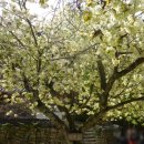 미소교역 이미지