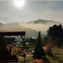 솔향펜션 이미지