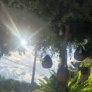 (주)스퀘어팜 이미지