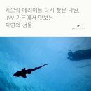 [태국 힐링 여행 추천]JW 메리어트 카오락 웰니스 리조트 후기 (수영장·JW가든·스파)