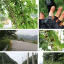 옥정보건진료소 이미지