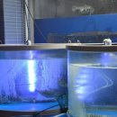 비에스(BS)수산 이미지