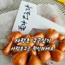 사랑초구근심기 이미지