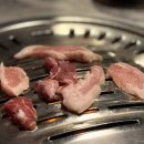 노가니길 | 🥩 강릉 노암동 찐맛집, ‘고깃집’ 후기