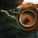 팜 라이프 이미지