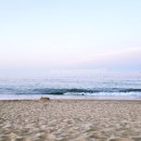 팜트리빌라명동101 | 속초,양양,고성 여행- 고성 맛집, 오션뷰 카페, 속초 중앙 시장 맛집