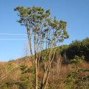 지리산 농장 이미지