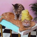 석장경로당 이미지