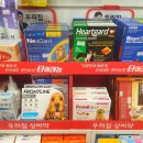 송도플러스약국 이미지