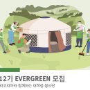 에버그린 이미지