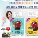 왕초보 여행영어 이미지
