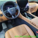 오아시스크리닝 이미지