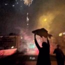 하하 동물병원 | 2 / 운전해서 고양스타필드 가기..~.../ 고양이 실 삼킴 사고 동물병원 후기 / 용산 메디킹덤 창고형 약국
