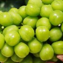 더드림마켓 이미지