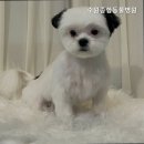 수원종합동물병원 이미지