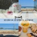 고성군청 | [온더버튼] 고성 오션뷰 카페, 고성 담백한 빵가게 추천, 내돈내산 솔직후기