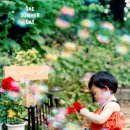 원썸머데이 이미지