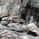 밀파소민박 이미지