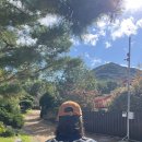 선법사 | 서울 근교 가을 캠핑 하남 캠핑장 캠핑 장비 대여 이지캠핑