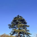 죽서루 화장실 이미지