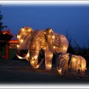 등불농장 이미지