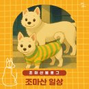 한국맥도날드(유) 영천DT점 | 조마산 블로그 일상
