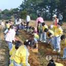 평동전통떡마을 이미지