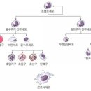 약손월드치유 - 남양주시 별내중앙로 10 | 약손월드치유