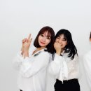 조선시대, 코끼리 살인사건 네이버블로그
