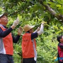 민애농장 이미지