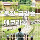 금강송에코리움(찜질방) | 울진 금강송에코리움 산림욕 찜질방 리버스 스테이 모두 가능해