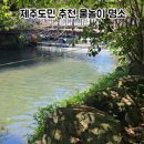 쉼터 편의점 | 제주도민만 아는 계곡 에어컨보다 시원했던 정모시쉼터 다녀온 솔직후기
