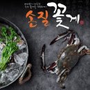 신덕바지락영어조합법인 | 서해안 제철 해산물 바지락 바지락살 해감 . 효능 ★ with 꽃게