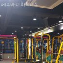 에스바디휘트니스 이미지
