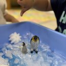 🧊🌈 얼음 크레파스 &amp; 🐧🐻‍❄️ 북극 놀이 이미지