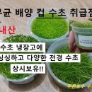 진수족관