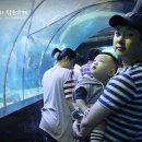 티제이투어