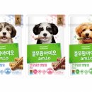 덴탈스토리 이미지